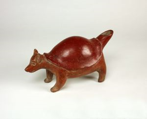 Image of Shelled Animal (Armadillo?)