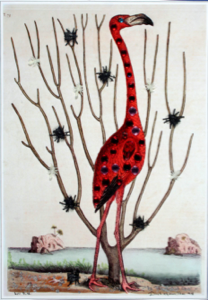 Image of Untitled (Flamingo)