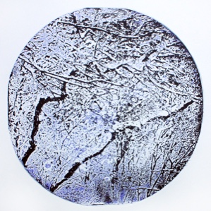 Image of Branches in Snow