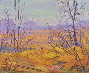 Image of Untitled (North Texas landscape in Fall)