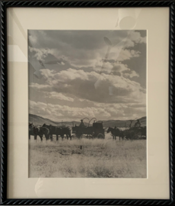 Image of Chuck Wagons