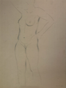 Image of Female Nude