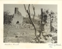 Image of Old Stone Ranch - Wall and Chimney