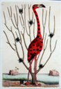 Image of Untitled (Flamingo)